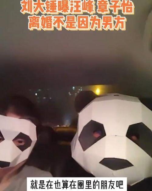 刘大锤爆料婚变视频大全,揭秘娱乐圈夫妻背后的真相  第1张